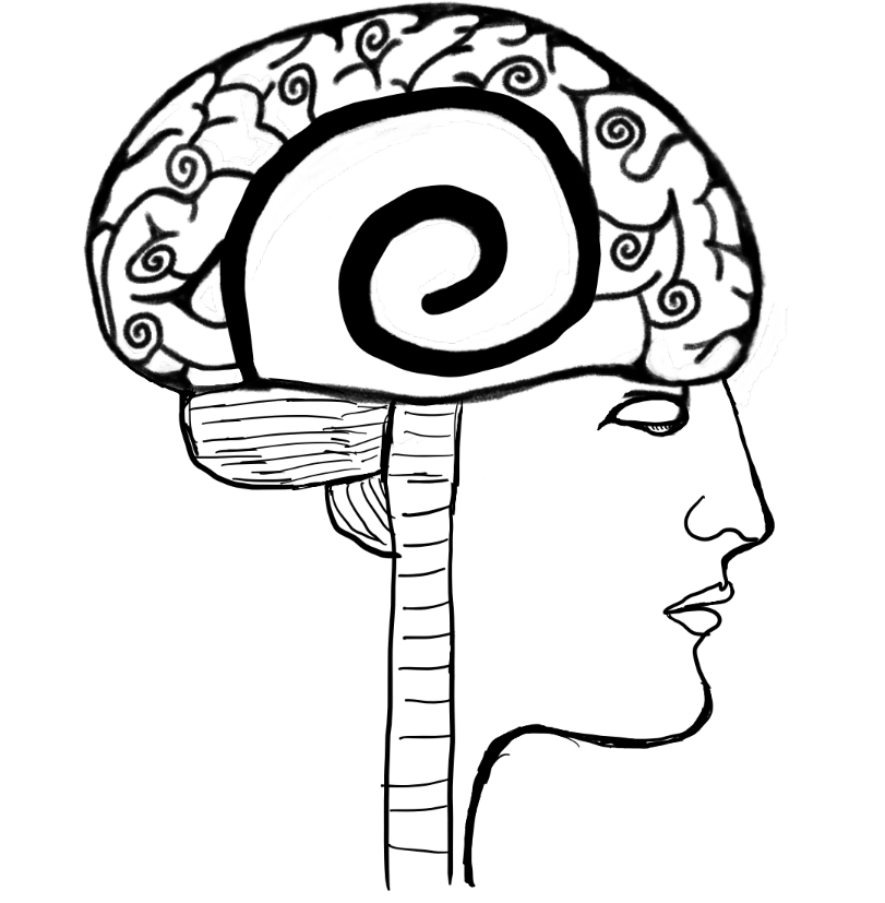 screenshot 2026 02 05 125537